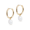 Large Hoop and Baroque Pearl Charm Gold Earring Set